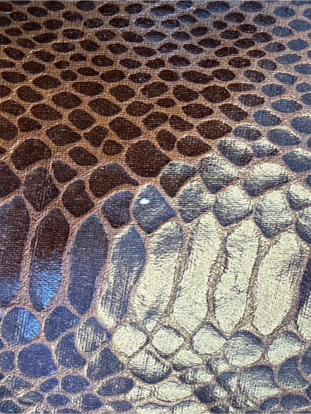 Multi-Color Snake-Embossed Wristlet Set - Picture 8 of 9